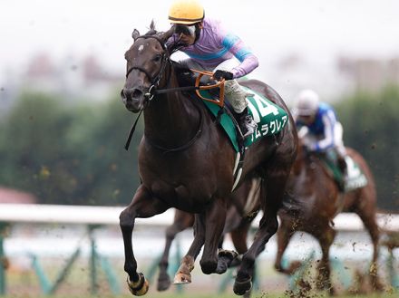 キーンランドC史上初の快挙なるか 重賞4勝を誇る快足牝馬が連覇を狙う