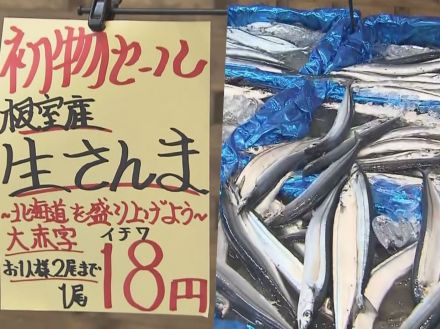 札幌では衝撃の“1尾18円”…にわかに列島沸かせた『サンマフィーバー』連日の豊漁でお値段いかほどに