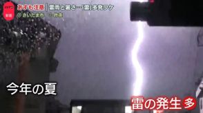 雷雨と暑さ…各地で天気が急変　21日も注意　今年は雷“多発”そのワケは？