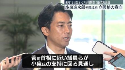 小泉進次郎元環境相が立候補の意向　自民党総裁選