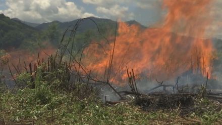 「里山焼かんかね?」中山間地の課題に挑戦する大学サークル「国営開発農地について遊休化しているところが増えている」