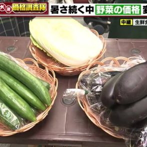 猛暑で生育が悪く野菜が高い　仕入れ価格でキュウリとハクサイが50円値上がり　この先も高値が続く見通し