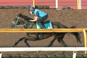 【新潟２歳Ｓ】トータルクラリティは力強い伸び脚　池添調教師「のびのびと走ってくれました」