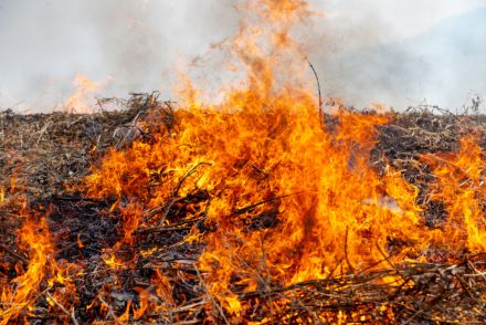 地方出身の友人が「田舎じゃ野焼きは当たり前だよ」と言っていましたが違法ですよね？ 罰金は発生しないのですか？