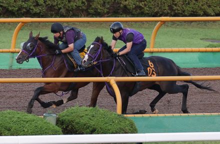 モリノドリーム併入も手応えで圧倒、千島助手「並ぶ時もスッと反応良かった」／キーンランドＣ