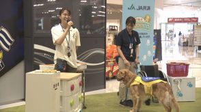 介助犬を知って！今治市でＰＲイベント【愛媛】