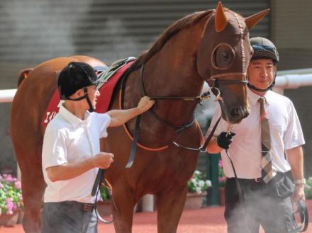 エイシンヒカリ産駒JRA重賞初Vへ “快速馬”の仔が名手を背にキーンランドC参戦