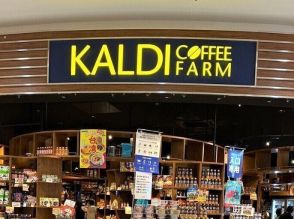 【KALDI】ただ飲むだけじゃもったいない！大人のレモネードベースが万能だった