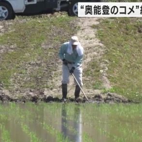 地震で被害受けた奥能登地域の米作り 稲の作付面積は2023年の6割ほど 県が農地や用水路の復旧急ぐ