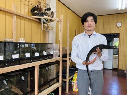 「月陽爬虫類専門店」が移転　20種100匹を展示販売