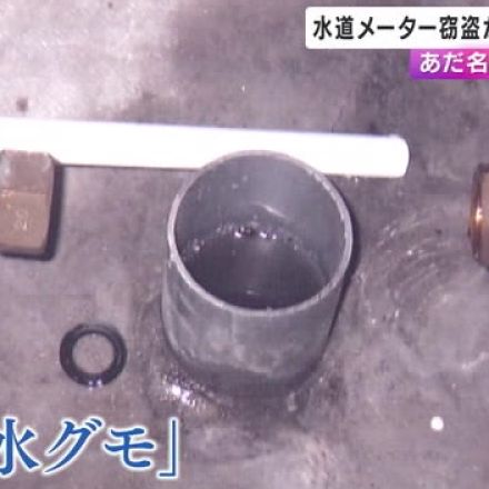 「怪盗水グモ」水道メーターを繰り返し窃盗か 35歳無職の男逮捕