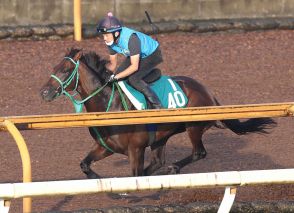 【新潟2歳S】トータルクラリティ　重馬場のCW単走で11秒9　池添師「伸び伸びとダイナミックな動き」