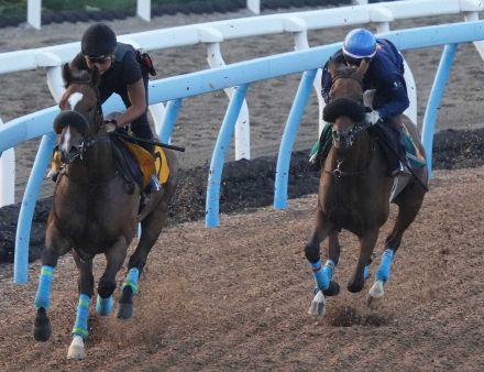 【新潟2歳S】キタノクニカラ　馬なり内から併入　杉原「1週前よりも力強さ増した」