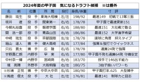 “開場100年”夏の甲子園ドラフト候補「プロで見るべき」10人の逸材…元ヤクルト編成部長のノムさん“右腕”が選ぶ