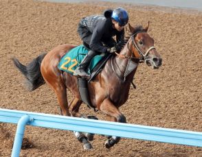 【新潟2歳S　追って一言】スターウェーブ・武井師「前回より精神面が成長していてすごくいい」