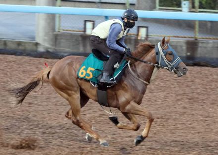 【新潟2歳S】コートアリシアンはWコースで単走ラスト11秒7　軽やかにフィニッシュ