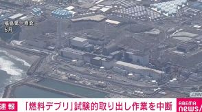 福島第一原発「燃料デブリ」 試験的取り出し作業中断 装置の接続順間違え