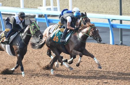 【新潟2歳S】ジョリーレーヌ、Wコースで3頭併せラスト11秒5　馬なりでパワフルに鋭伸