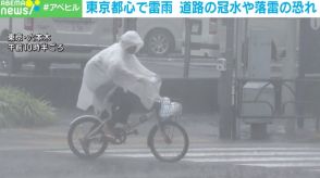 東京都心で雷雨 道路の冠水や落雷の恐れ 天気の急変に注意