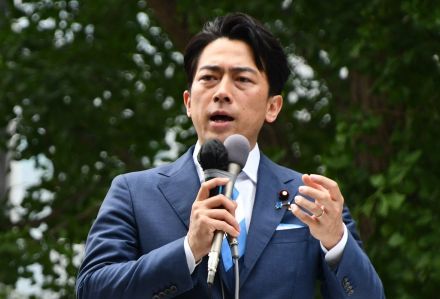 自民党総裁選「小泉進次郎」選挙関係者が明かす「同僚へのライバル心」と「妻・クリステルへの不安」