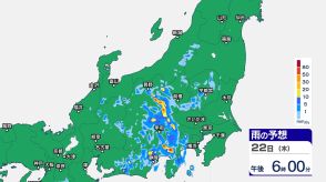 関東甲信この後の雨は? “バケツをひっくり返したような”激しい雷雨か　道路の冠水などに低い土地の浸水に警戒を【24日午前1時まで・30分ごとの雨雲シミュレーション】