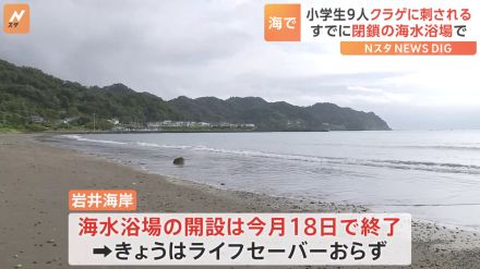 小学生9人がクラゲに刺される　いずれも軽傷で意識あり　海水浴場は既に閉鎖でライフセーバーなし　千葉県・南房総市