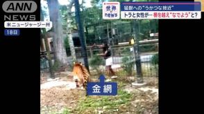 猛獣への“うかつな接近”　女性が柵を越えトラを“なでよう”としたか