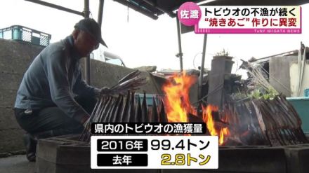 人気ラーメンにも影響　トビウオ不漁で“焼きあご”作れず…「えらいことになった」《新潟》