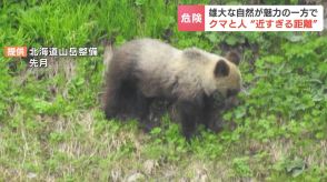 年間10万人が訪れる『大雪山国立公園』で危惧される“登山者とクマ”の距離感　接近撮影や荷物を置いてのピストン登山など…クマを人慣れさせ、引き寄せる危険な行動とは