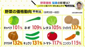 「夏休みのカレーライス作りも大変」猛暑で夏野菜は軒並み高値　価格が安定するのは9月末ごろ　価格高騰のなかオススメは「ブロッコリーはお買い得」