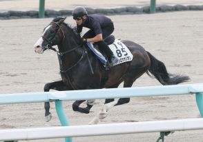 「裏函」退厩、水曜移動で木曜に札幌で追い切った“少数派“マテンロウオリオンの戦略はフィットするのか【獣医師記者コラム・競馬は科学だ】