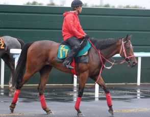 【今週の注目新馬】ロートホルンは血統、動きともに一級品　鞍上はルメール