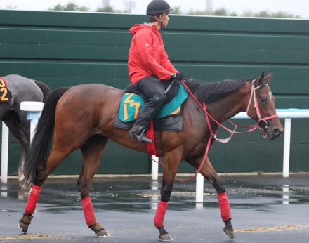 【今週の注目新馬】ロートホルンは血統、動きともに一級品　鞍上はルメール