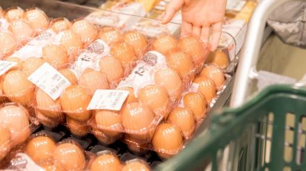 お金がかかるようになった「卵かけご飯」が、8月の景況感を押し下げ…「内閣府のユニークな調査」からエコノミスト宅森昭吉氏が紐解く