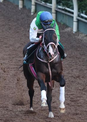 アーリントンロウ坂路51秒６の好時計　松下師「スピードがある馬」／小倉２歳Ｓ