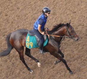 カーラデマドレは母ディアデラマドレの長所引き継ぐ　宮田師「十分芝でもこなせそう」／新馬戦