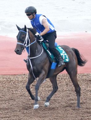 【新潟２歳Ｓ】マジカルフェアリーがサートゥルナーリア産駒初の重賞制覇へ　寺島調教師「ピリッとした感じはある」