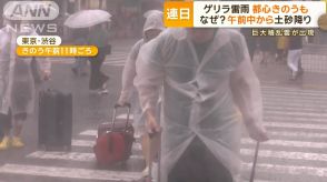 連日のゲリラ雷雨　都心はきのうも…なぜ？　巨大積乱雲が出現し午前中から土砂降りに