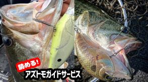 【でかぁ…かっこ良】真夏はスローダウンも季節先取りで57cm!!