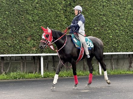 【札幌2歳S】1週前追い　キングスコールが藤岡佑介騎手を背に札幌ダートコースで力強い伸び脚