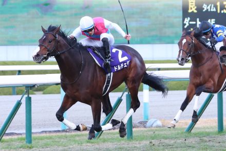 高橋一哉厩舎に転厩したドルチェモアは京成杯ＡＨで復帰　鞍上は北村友一