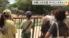 沖縄こどもの国で動物の生態や行動について学ぶサイエンスキャンプ　ゾウの餌やり体験も！