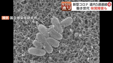 新学期に注意すべき感染症とは？北海道内で“５週連続増加”の新型コロナ　百日せきや手足口病などの流行も拡大中　北海道