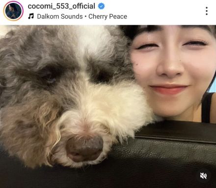 Ｃｏｃｏｍｉ、愛犬「えとぽん」と密着２ショット　仲良く並んでパシャリ