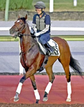 【キーンランドＣ】武豊騎手とコンビのオオバンブルマイは最内枠にも不安なし　吉村調教師「雨も思ったほどでは…」