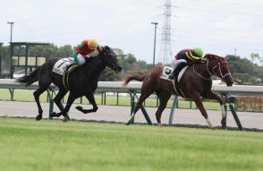 【中京１Ｒ・２歳未勝利】ダノンザキッドの全妹ラヴァブルがＶ　西村淳也騎手「何の癖もなく、かわいらしい馬」