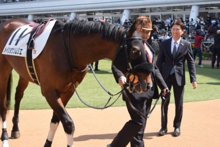 蛯名正義氏が振り返る、メイショウソムリエ勝利までの道「競馬を覚えていくのに時間がかかる馬も多いのです」