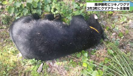 朝の住宅街付近に雄のツキノワグマ　被害及ぶ可能性から猟友会が駆除　三重・南伊勢町