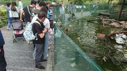 上海動物園との末永い交流を　大阪市の友好都市　開園70周年記念事業に参加　園長は獣医さん