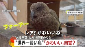 「かわいいね」にだけ返事をする鳥!“美人”を自覚?　“世界一賢い”ミヤマオウム、返事の理由は繁殖期か　栃木・那須どうぶつ王国